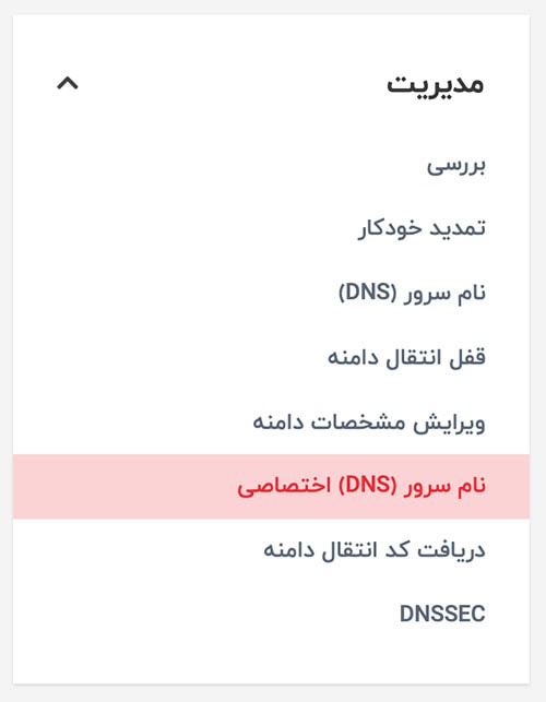 آموزش تنظیم DNS اختصاصی و آی پی برای دامنه